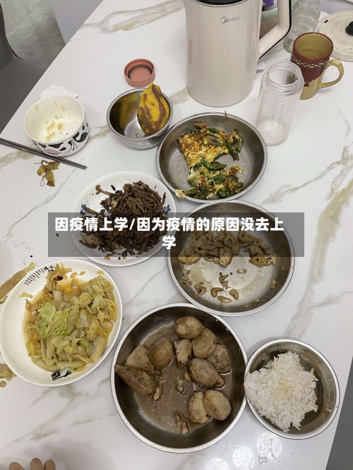 因疫情上学/因为疫情的原因没去上学