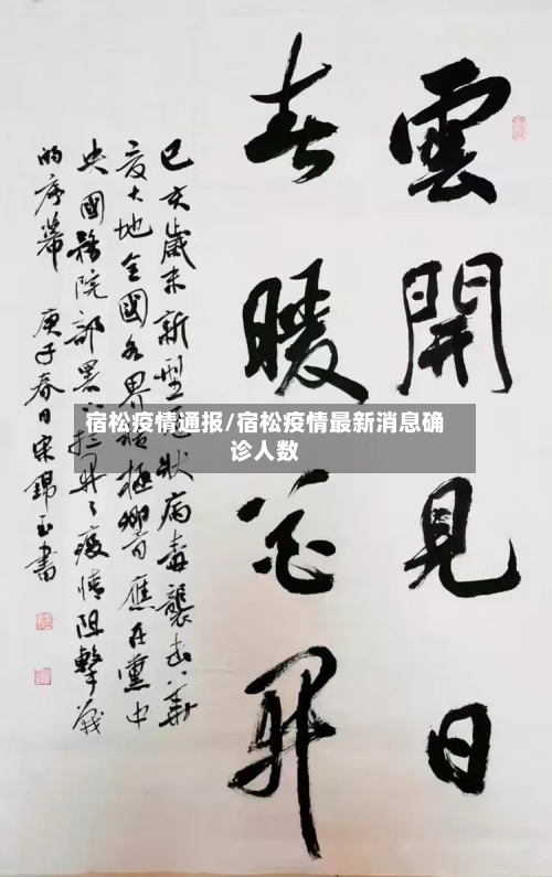 宿松疫情通报/宿松疫情最新消息确诊人数-第2张图片
