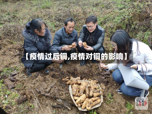 【疫情过后铜,疫情对铜的影响】