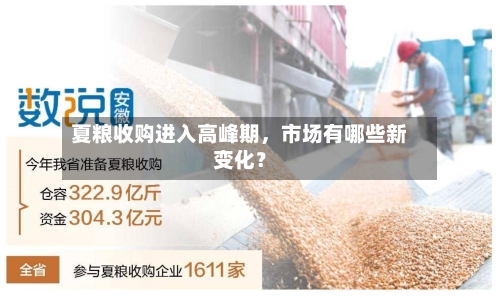 夏粮收购进入高峰期，市场有哪些新变化？