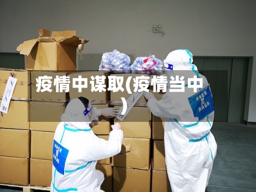 疫情中谋取(疫情当中)