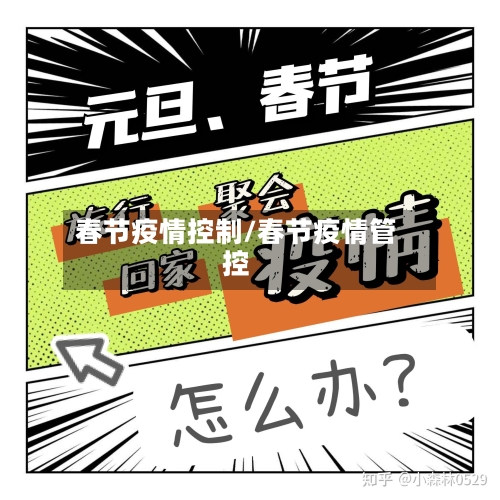 春节疫情控制/春节疫情管控