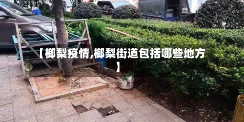 【榔梨疫情,榔梨街道包括哪些地方】