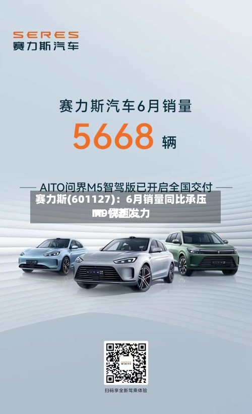 赛力斯(601127)：6月销量同比承压 M〖陆〗、M9快速发力-第3张图片