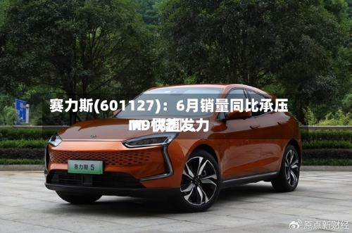 赛力斯(601127)：6月销量同比承压 M〖陆〗、M9快速发力-第3张图片