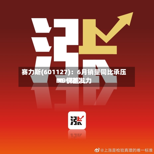 赛力斯(601127)：6月销量同比承压 M〖陆〗	、M9快速发力-第2张图片