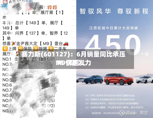 赛力斯(601127)：6月销量同比承压 M〖陆〗、M9快速发力-第3张图片