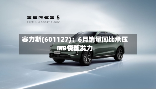 赛力斯(601127)：6月销量同比承压 M〖陆〗	、M9快速发力-第2张图片