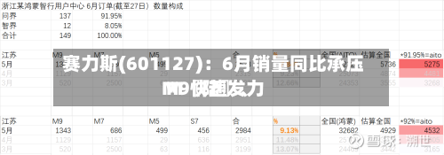 赛力斯(601127)：6月销量同比承压 M〖陆〗	、M9快速发力-第2张图片