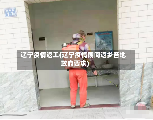 辽宁疫情返工(辽宁疫情期间返乡各地政府要求)