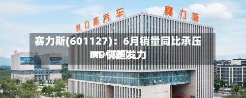 赛力斯(601127)：6月销量同比承压 M〖陆〗	、M9快速发力-第2张图片