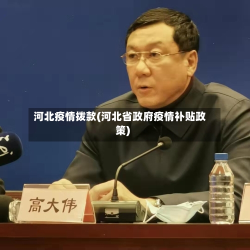 河北疫情拨款(河北省政府疫情补贴政策)