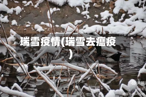 瑞雪疫情(瑞雪去瘟疫)