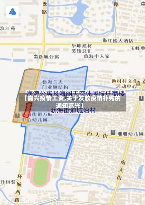 【嘉兴疫情工资,关于发放疫情补贴的通知嘉兴】-第3张图片