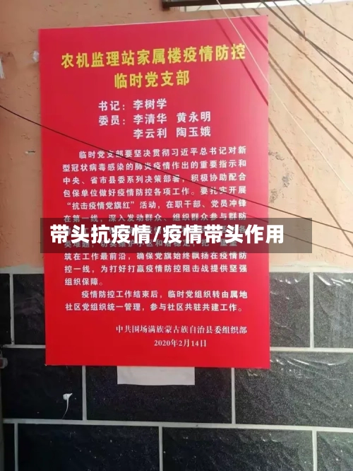 带头抗疫情/疫情带头作用-第2张图片