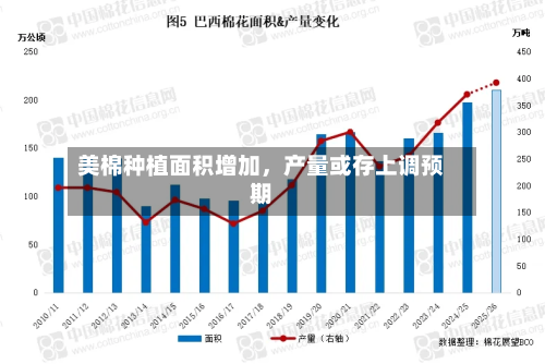 美棉种植面积增加，产量或存上调预期-第3张图片