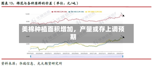 美棉种植面积增加，产量或存上调预期-第2张图片