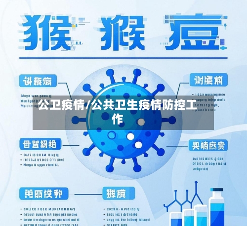 公卫疫情/公共卫生疫情防控工作-第2张图片