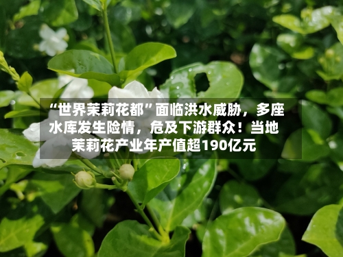 “世界茉莉花都	”面临洪水威胁	，多座水库发生险情，危及下游群众！当地茉莉花产业年产值超190亿元-第2张图片