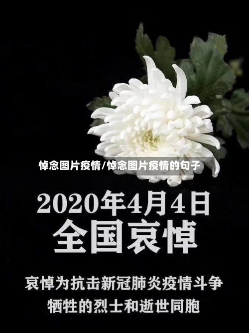 悼念图片疫情/悼念图片疫情的句子-第2张图片
