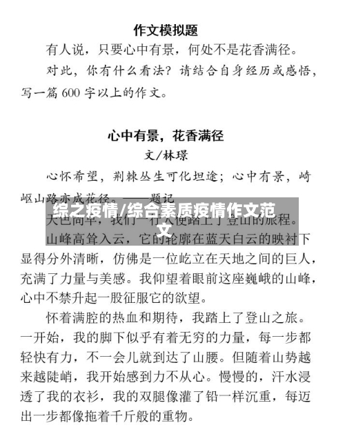 综之疫情/综合素质疫情作文范文-第3张图片