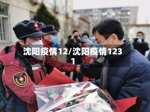沈阳疫情12/沈阳疫情1231