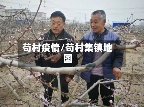苟村疫情/苟村集镇地图-第3张图片