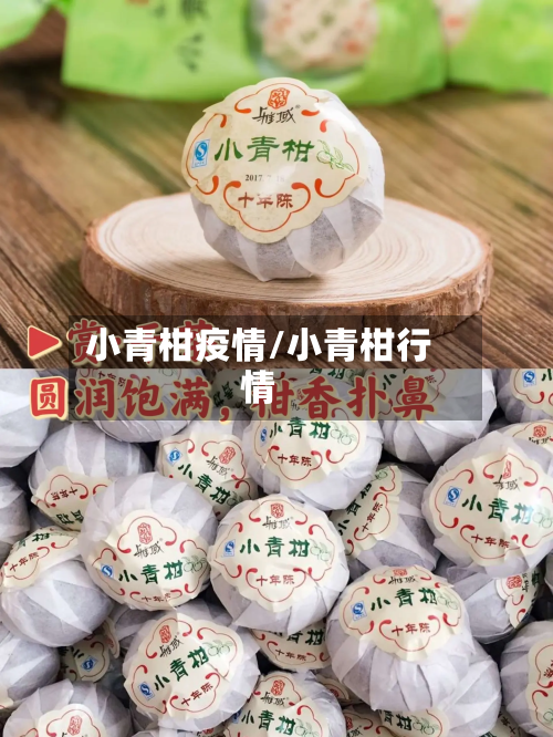小青柑疫情/小青柑行情-第2张图片