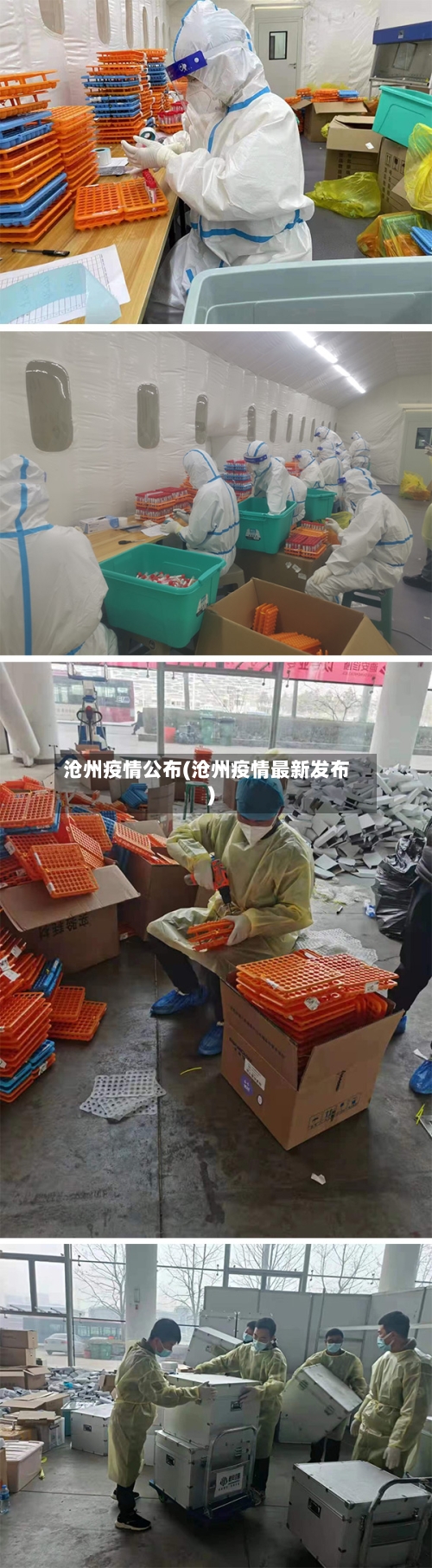 沧州疫情公布(沧州疫情最新发布)