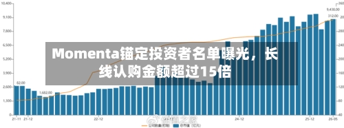 Momenta锚定投资者名单曝光	，长线认购金额超过15倍-第3张图片