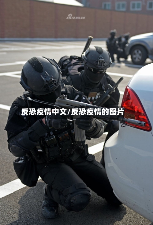反恐疫情中文/反恐疫情的图片