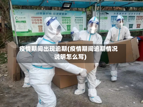 疫情期间出现逾期(疫情期间逾期情况说明怎么写)