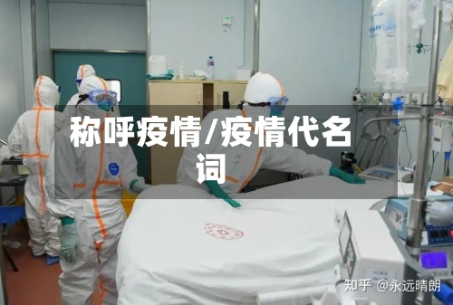 称呼疫情/疫情代名词