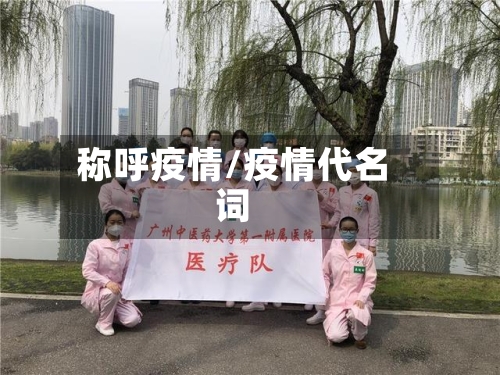 称呼疫情/疫情代名词-第3张图片