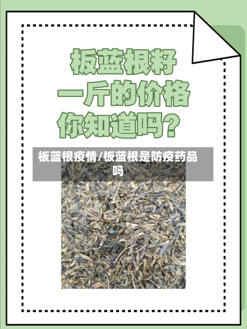 板蓝根疫情/板蓝根是防疫药品吗-第3张图片