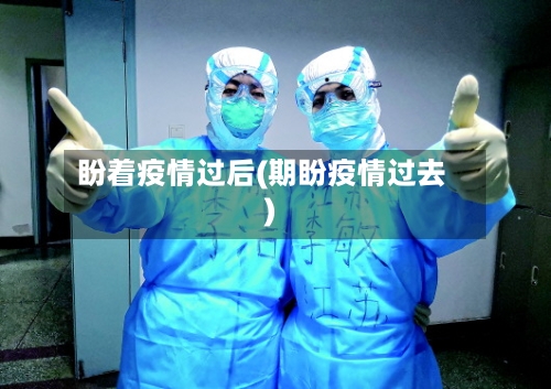 盼着疫情过后(期盼疫情过去)-第3张图片