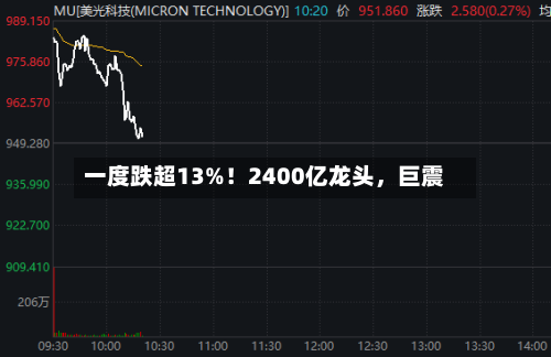一度跌超13%！2400亿龙头	，巨震-第2张图片