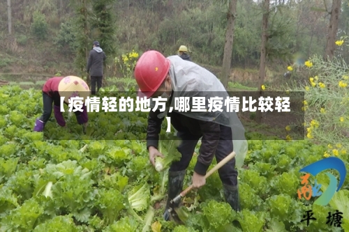 【疫情轻的地方,哪里疫情比较轻】
