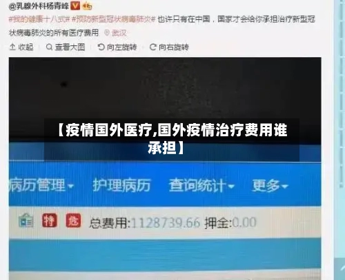 【疫情国外医疗,国外疫情治疗费用谁承担】
