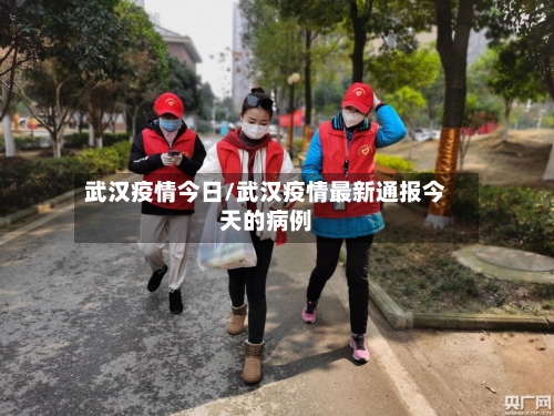 武汉疫情今日/武汉疫情最新通报今天的病例-第3张图片