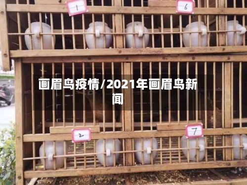 画眉鸟疫情/2021年画眉鸟新闻
