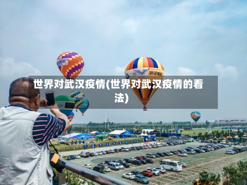 世界对武汉疫情(世界对武汉疫情的看法)