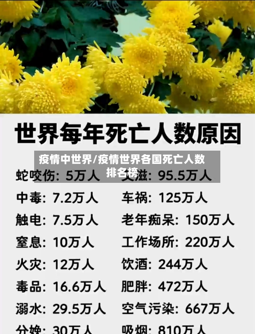 疫情中世界/疫情世界各国死亡人数排名榜