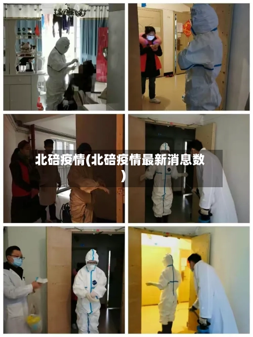 北碚疫情(北碚疫情最新消息数)-第2张图片