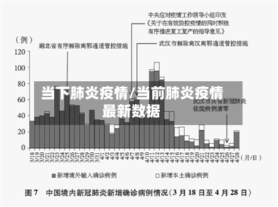 当下肺炎疫情/当前肺炎疫情最新数据-第2张图片