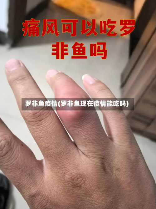 罗非鱼疫情(罗非鱼现在疫情能吃吗)