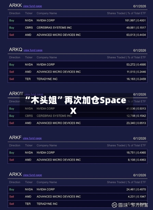 “木头姐”再次加仓SpaceX-第3张图片
