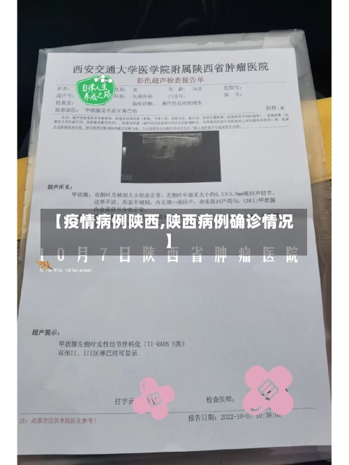 【疫情病例陕西,陕西病例确诊情况】-第3张图片
