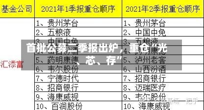 首批公募二季报出炉，重仓“光、芯、存”-第2张图片