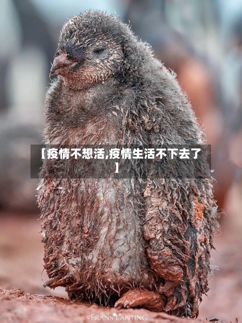 【疫情不想活,疫情生活不下去了】
